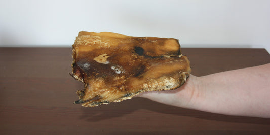 Plaque de peau de boeuf