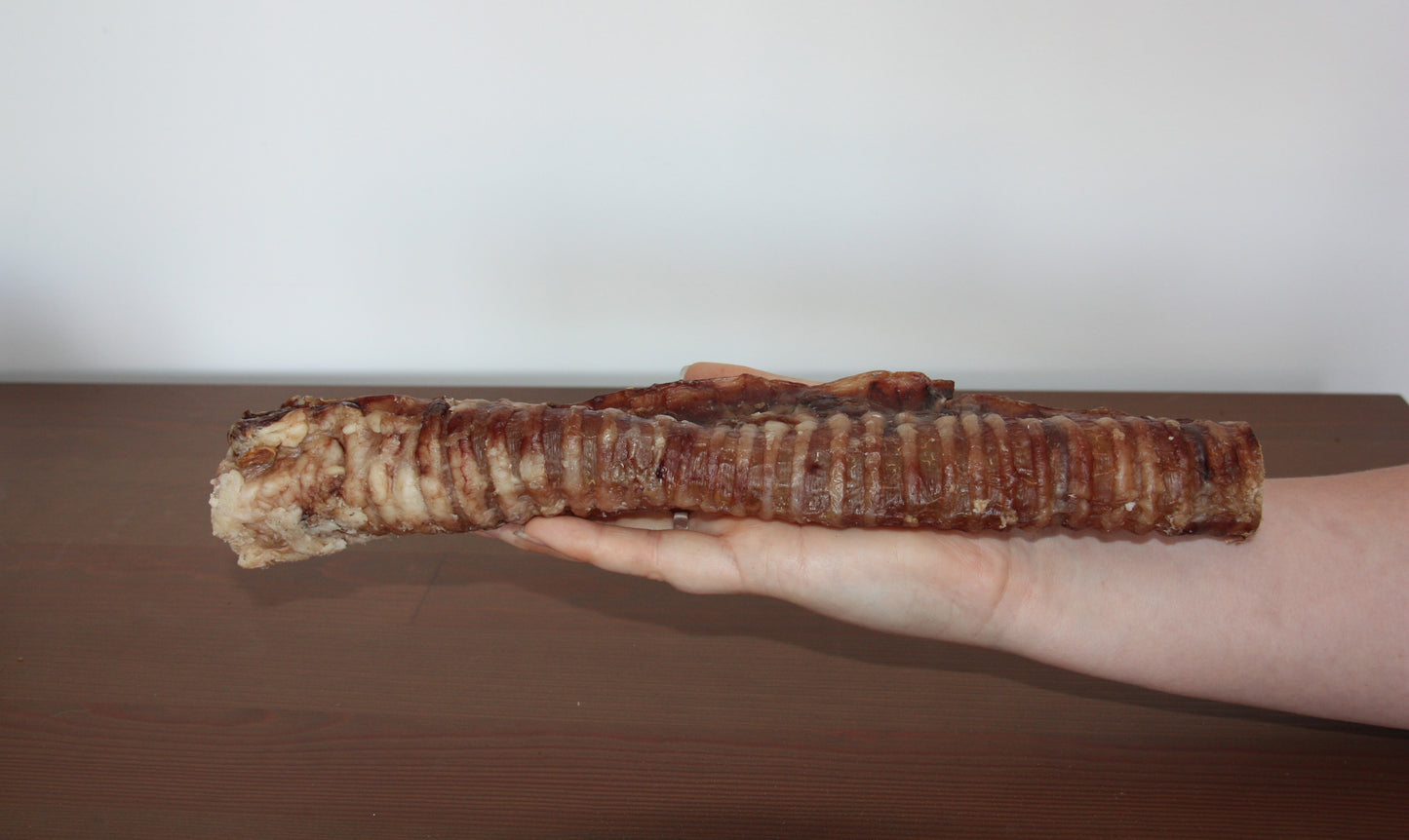 Trachée de bœuf