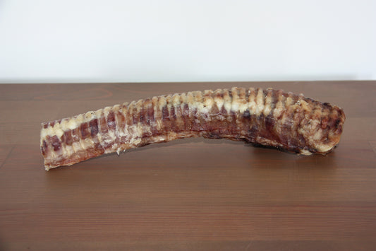 Trachée de bœuf