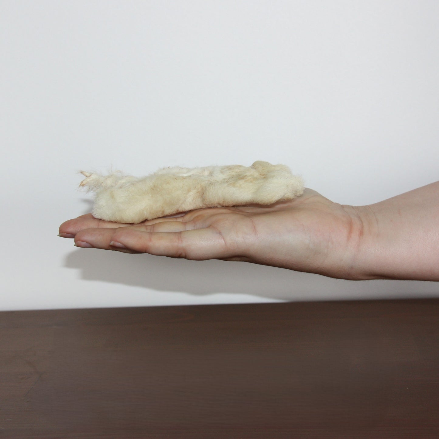 Patte de lapin