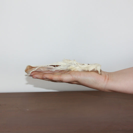 Oreilles de lapin avec poils