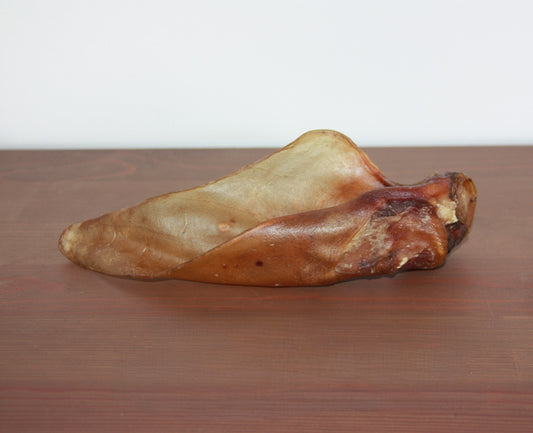 Oreille de bœuf avec pavillon