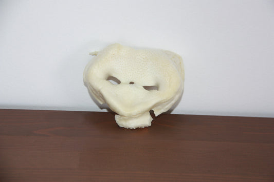 Groin de porc soufflé