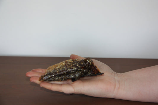 Morceau de peau de saumon