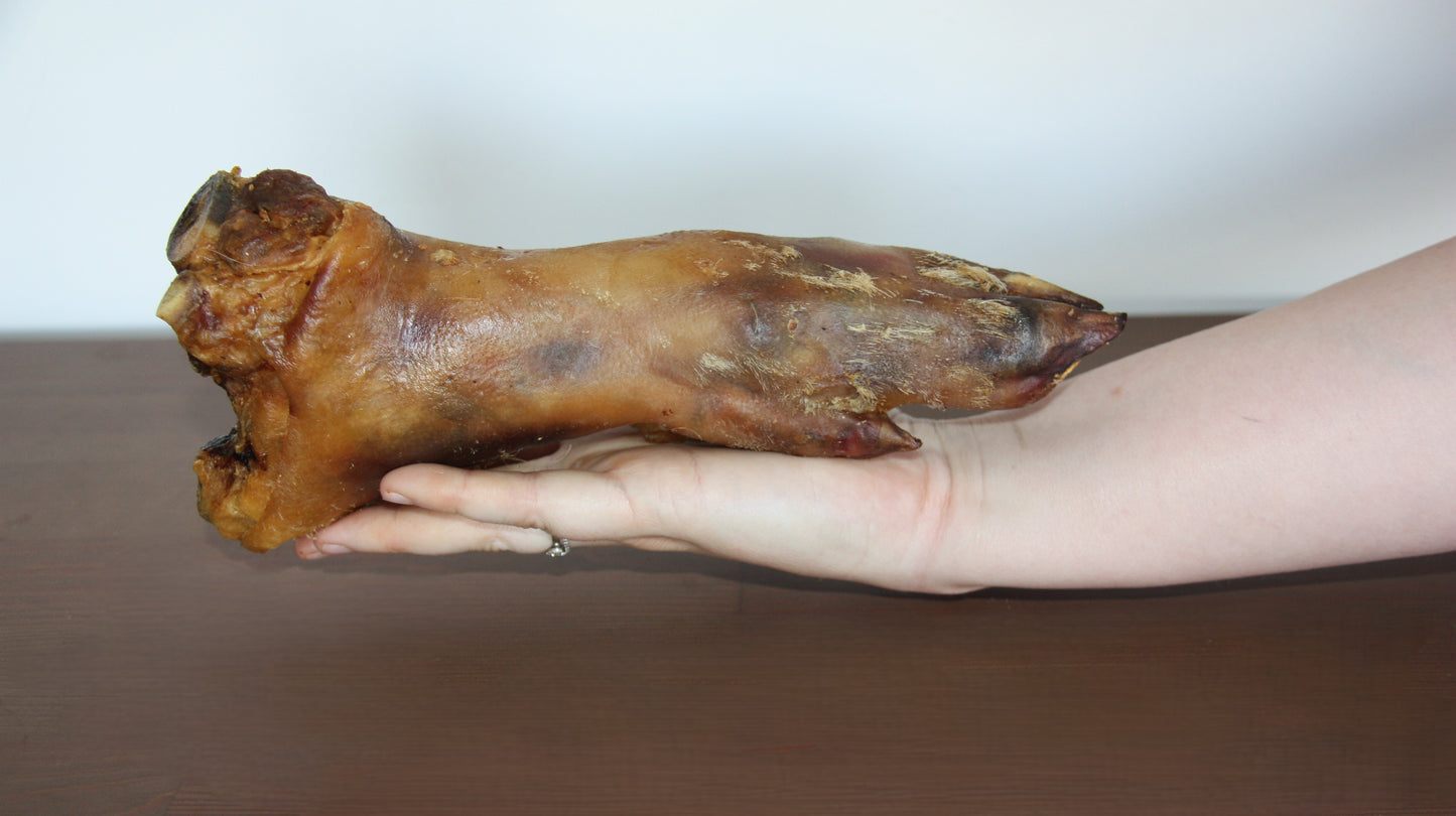 Pied de porc XL