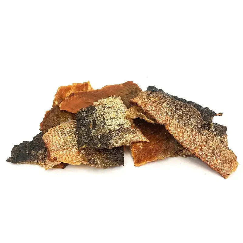 Morceau de peau de saumon