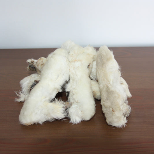 Patte de lapin