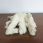 Patte de lapin