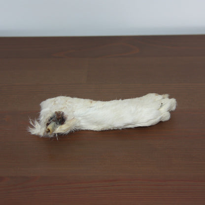 Patte de lapin