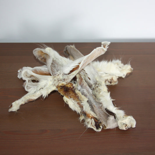 Oreilles de lapin avec poils