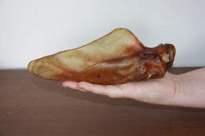Oreille de bœuf avec pavillon