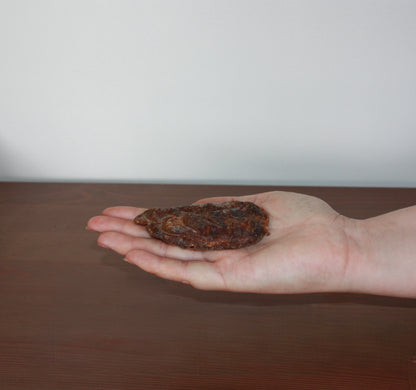 Testicule de mouton