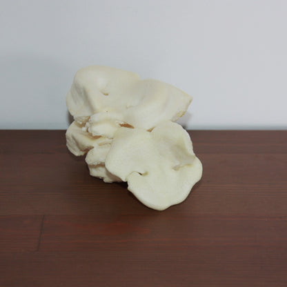 Groin de porc soufflé