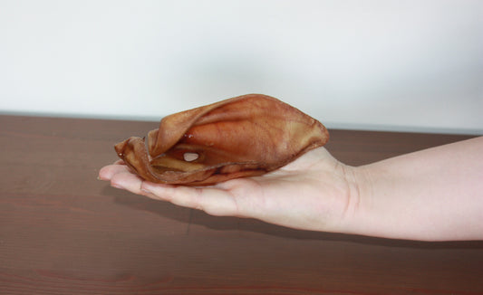 Oreille de porc