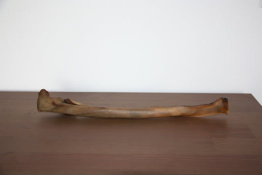 Peau de chameau 40cm