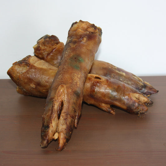 Pied de porc XL