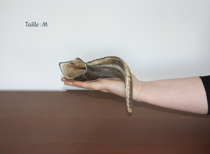 Corne de mouton