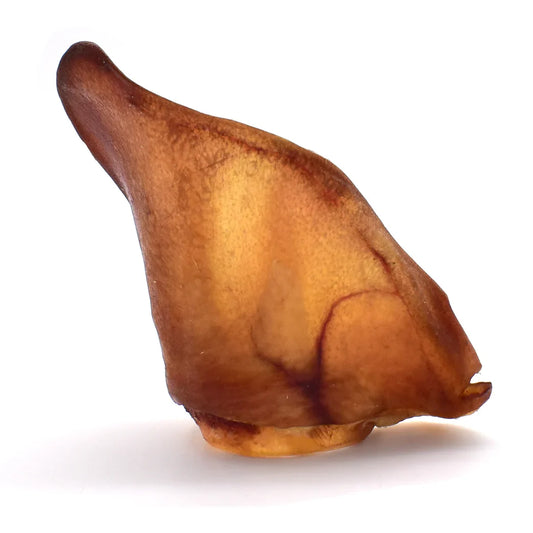 Oreille de porc