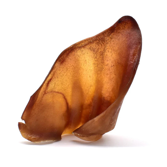 Oreille de porc